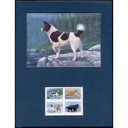 frameable prints 1988 tahltan bear dog