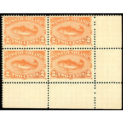 newfoundland stamp 48 codfish 2 1887 M VFNH 014