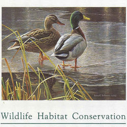 wildlife conservation stamps