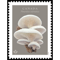 canada stamp 3503 pleurotus ostreatus 2025