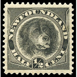 newfoundland stamp 58 newfoundland dog 1894
