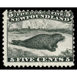 newfoundland stamp 26 harp seal 5 1866 M VG FOG 019