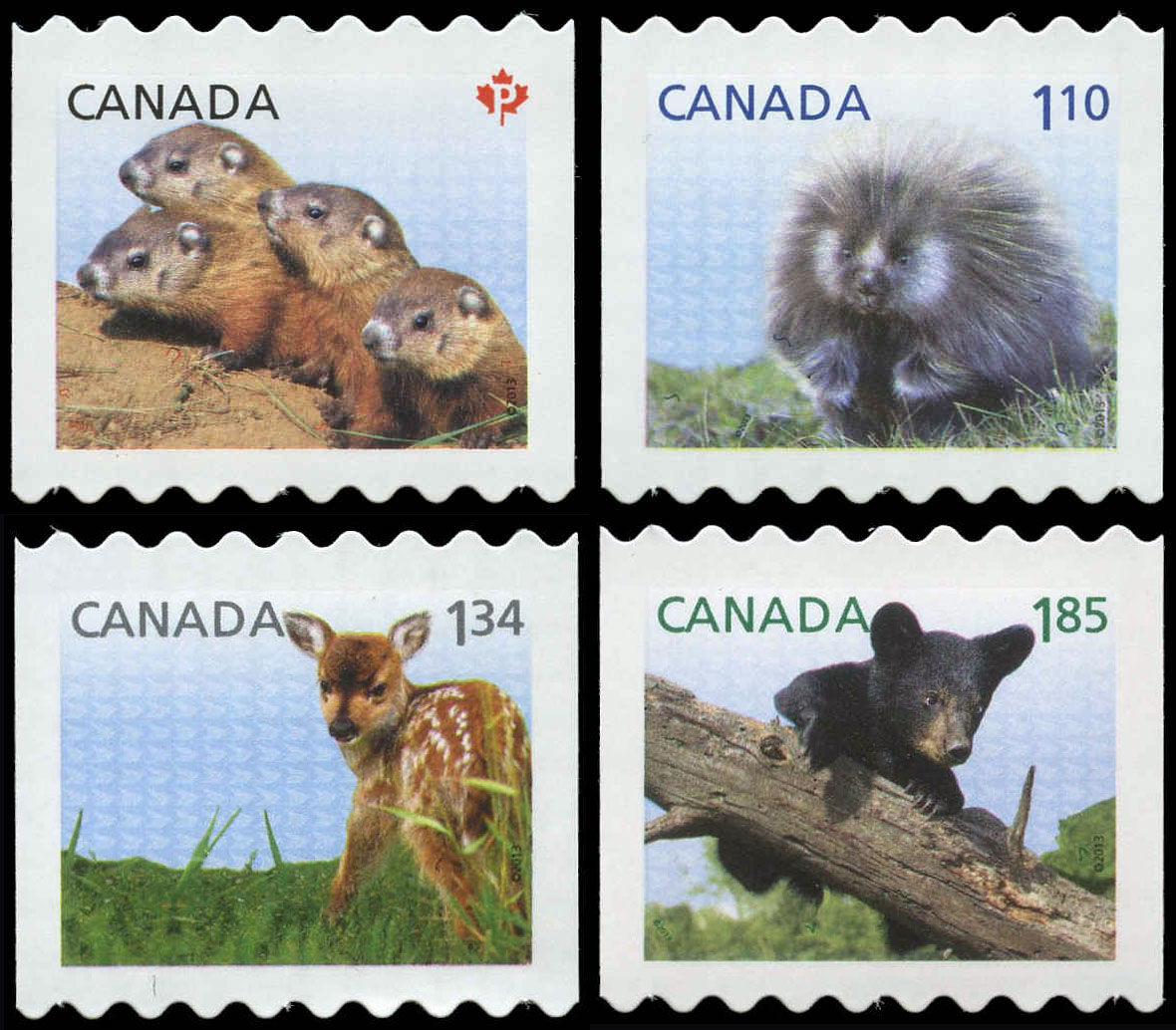  CPP111246  Canada Post Baby Wildlife Postage Stamp