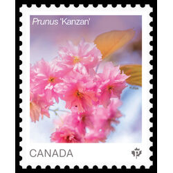 canada stamp 3528b prunus kanzan 2026