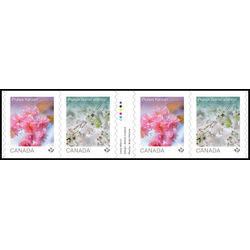 canada stamp 3530ii cherry blossoms 4 96 2026 M VFNH