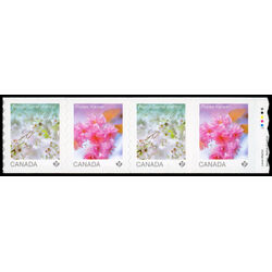 canada stamp 3530ii cherry blossoms 4 96 2026 M VFNH START