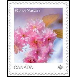 canada stamp 3532 prunus kanzan 2026