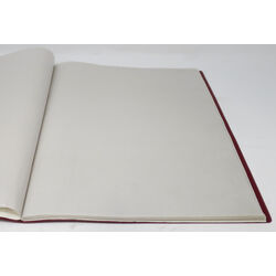 6 used stockbooks and 1 double mint sheet file