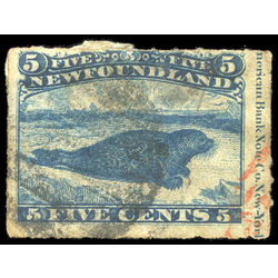 newfoundland stamp 40 harp seal 5 1876 u f 003