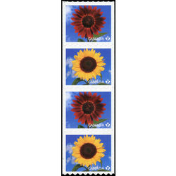 canada stamp 2442a sunflowers 2011 M VFNH STRIP 4