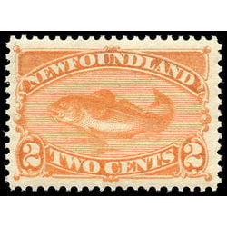 newfoundland stamp 48b codfish 2 1887