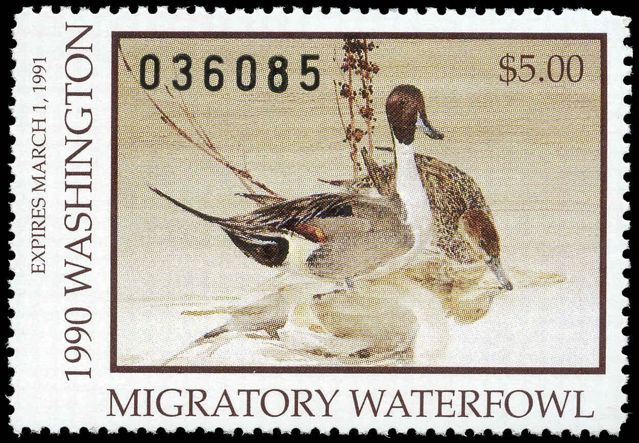 Buy US Hunting Permit #RW-WA5 - Washington - Pintails and sour duck ...