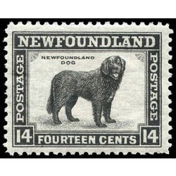 newfoundland stamp 261 newfoundland dog 14 1944