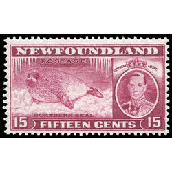 newfoundland stamp 239b harp seal pup 15 1937