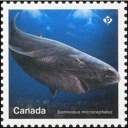 canada stamp 3105d greenland shark 2018