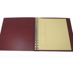 safe classic morocco 14 ring binder