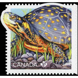 canada stamp 3179a spottled turtle 2019