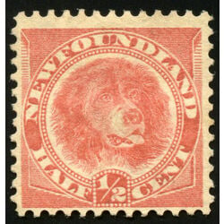 newfoundland stamp 56a newfoundland dog 1887