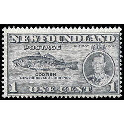 newfoundland stamp 233i codfish 1 1937 m fnh 002