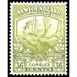 newfoundland stamp 126 combles 36 1919