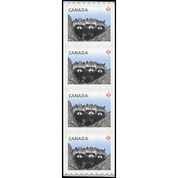 canada stamp 2506 raccoons 2012 M VFNH STRIP 4