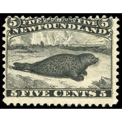 newfoundland stamp 26iii harp seal 5 1866