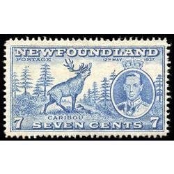 newfoundland stamp 235 caribou 7 1937