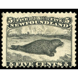 newfoundland stamp 26 harp seal 5 1866 m fog 006