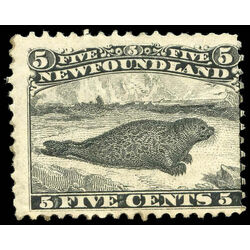 newfoundland stamp 26 harp seal 5 1866 m vgog 007