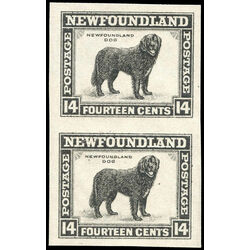 newfoundland stamp 194a newfoundland dog 1932