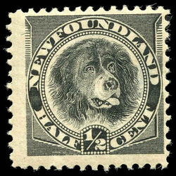 newfoundland stamp 58ii newfoundland dog 1894