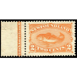 newfoundland stamp 48 codfish 2 1887 m vf 009