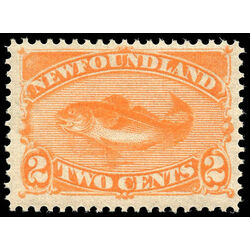 newfoundland stamp 48 codfish 2 1887 m vfnh 010