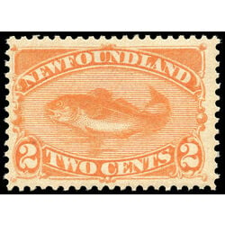 newfoundland stamp 48 codfish 2 1887 M F VFNH 011