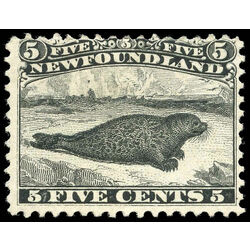 newfoundland stamp 26 harp seal 5 1866 M F 015