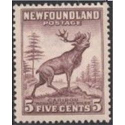 newfoundland stamp nf191f caribou 5 1932