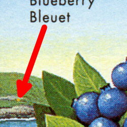 canada stamp 1349 blueberry 1 1992 M VFNH 004