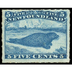 newfoundland stamp 40 harp seal 5 1876 M F VF NG 021