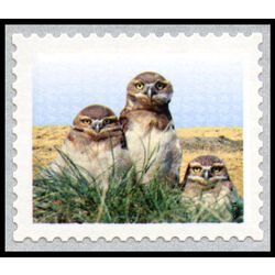 canada stamp 2710b burrowing owl 1 00 2014