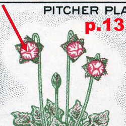 canada stamp 427i newfoundland pitcher plant 5 1966 M VFNH 13