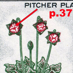 canada stamp 427i newfoundland pitcher plant 5 1966 M VFNH 37