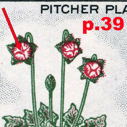 canada stamp 427i newfoundland pitcher plant 5 1966 M VFNH 39