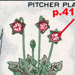 canada stamp 427i newfoundland pitcher plant 5 1966 M VFNH 41