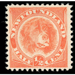 newfoundland stamp 57 newfoundland dog 1896 M VFNG 007