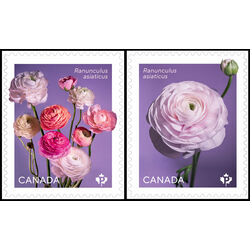 canada stamp 3375 6 ranunculus 2023