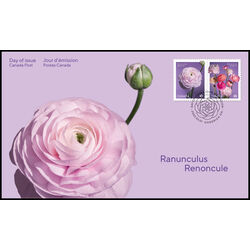 canada stamp 3375 6 fdc ranunculus 2023