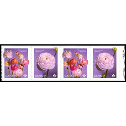 canada stamp 3374ii ranunculus 2023 M VFNH START