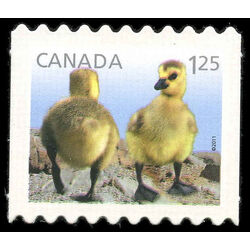 canada stamp 2431 canada geese 1 25 2011