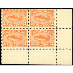 newfoundland stamp 48 codfish 2 1887 M VFNH 014