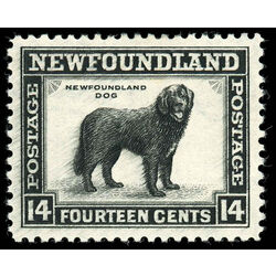 newfoundland stamp 261 newfoundland dog 14 1944 M VF 004